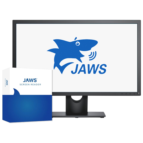 A computer running the JAWS Screen Reader.